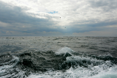 wall_1/images/im-007.jpg