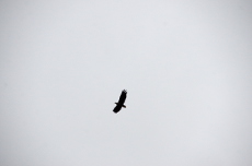 wall_5/images/im-019.JPG