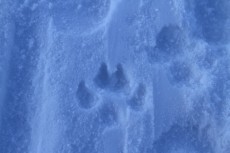wall_7/images/im_021.JPG