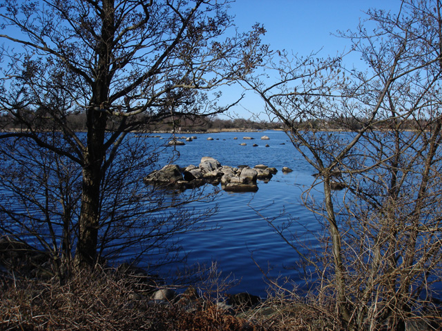 DSC05359