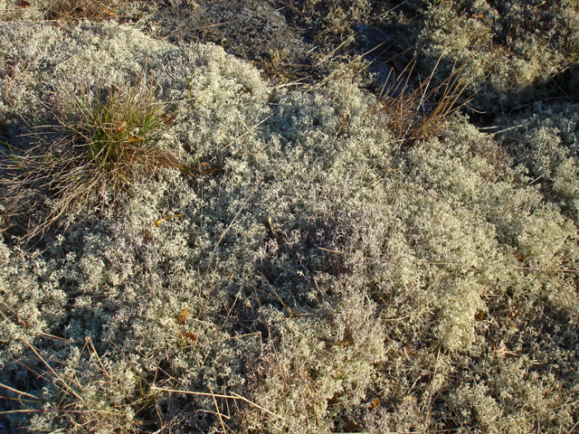 DSC05401