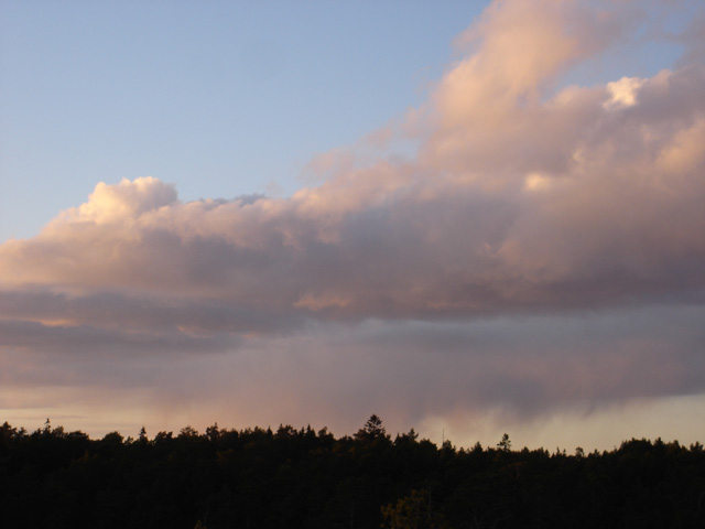 DSC05430
