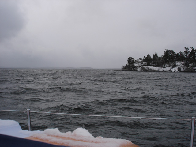 DSC05453